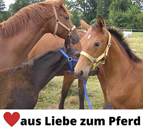 AMKA Pelota de pienso para caballos, para caja o paddock en color azul