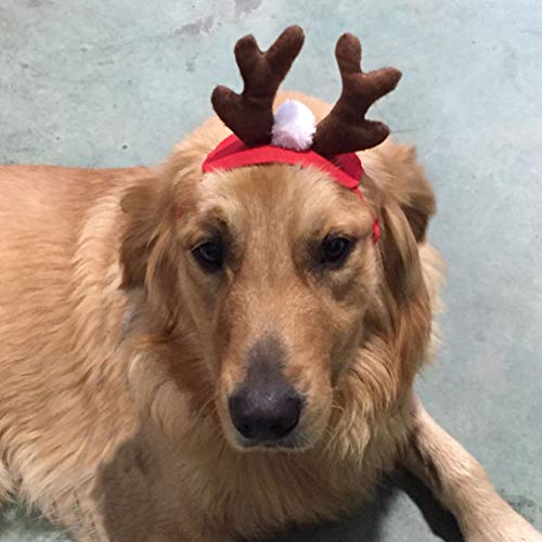 Amosfun Diadema de Cornamenta de Navidad para Mascotas Diadema de Gato de Perro de Navidad Diadema de Alce de Perro Tocado de Reno de Mascota Tocado de Alce