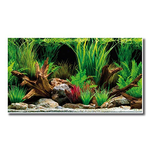 Amtra A8011570 Antecedentes Doble Maravilla Bluster, 45 x 100 cm