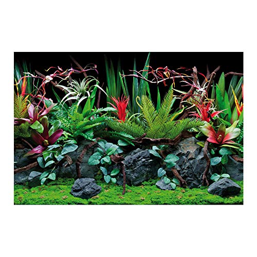 Amtra A8011578 Fondo Doble Flora Blister, 30 x 60 cm