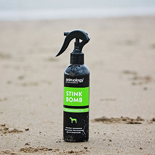 ANIMOLOGY Desodorante para Perros Stink