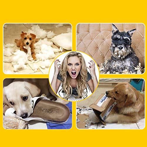 AnXiongStore Juguete con Sonido para Perros y Mascotas, Pollo Gritando, Pollo Amarillo de Goma, Juguete de Pollo con Sonido, Novedad, Pollo de Goma Duradero, niños y Perros, tamaño 3