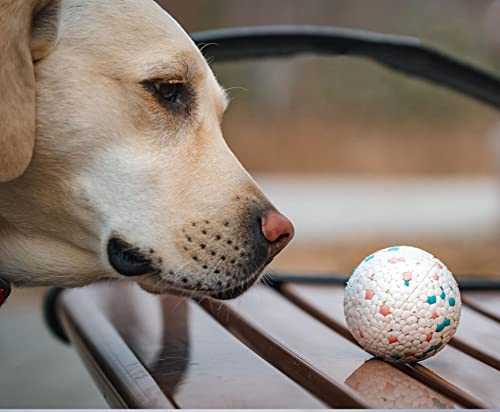 AOOF Suministros para Mascotas Juguete para Masticar molares de Perro de Bola de Juguete Adecuado para Mascotas pequeñas, Medianas y Grandes Tricolor-2piezas