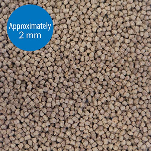 API Cichlid Pellets Flotantes Pellets Fish Food Container, 184 g