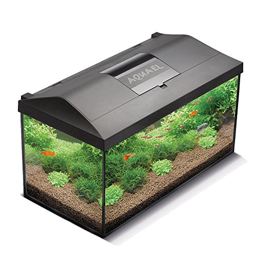 Aquael Leddy 5905546192163 Acuario Set Leddy LED 40, 25 litros Completo Acuario con Moderna tecnología LED