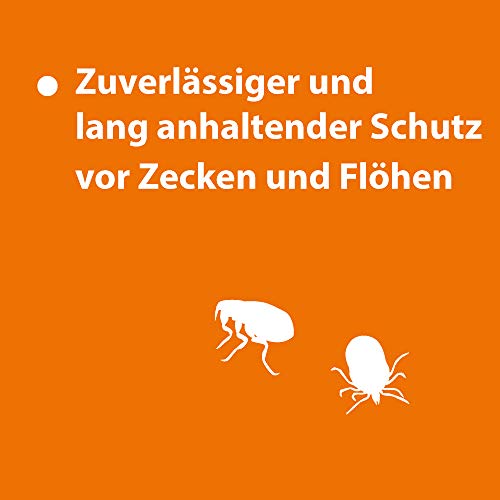 ARDAP Spot On - Zecken & Flohschutz für Hunde über 25kg - Natürlicher Wirkstoff - bis zu 12 Wochen nachhaltiger Langzeitschutz