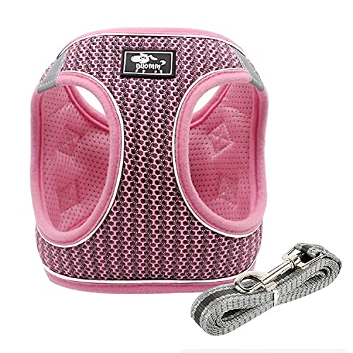 Arnés de perro sin tirar,para perros pequeños,malla suave reflectante transpirable,arnés y correa para perro y gato para cachorro,gato chaleco con correa ajustable para entrenamiento(XS, rosa)