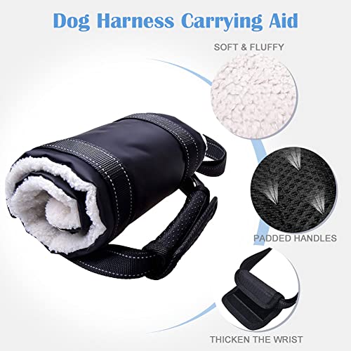 Arnés de Soporte para Perros, arnés Trasero de elevación para Perros para piernas débiles, arnés Trasero Ajustable con asa para Perros discapacitados, lesionados y Ancianos (Small)