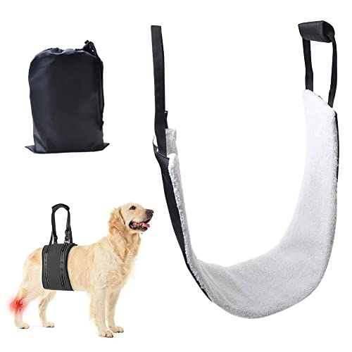 Arnés de Soporte para Perros, arnés Trasero de elevación para Perros para piernas débiles, arnés Trasero Ajustable con asa para Perros discapacitados, lesionados y Ancianos (Small)