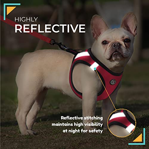 Arnes para Perro Pequeño - Chaleco Antitirones Reflectante, Ajustable y Transpirable - Malla Comoda y Suave para Cachorros - Adaptado para Coche (L, Rojo)