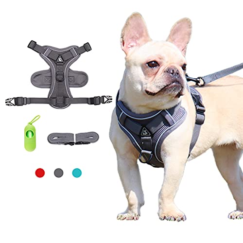 Arnés Perro pequeño con Correa Arnés Deportivo para Perros Sin Tirón Malla Suave Reflexivo y Transpirable Arnés para Perros y Juego de Cables Ajustable Chaleco para Perros Pequeños, Gatos y Cachorros