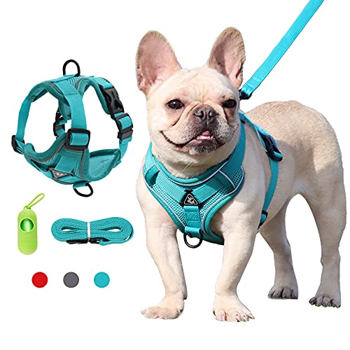 Arnés Perro pequeño con Correa Arnés Deportivo para Perros Sin Tirón Malla Suave Reflexivo y Transpirable Arnés para Perros y Juego de Cables Ajustable Chaleco para Perros Pequeños, Gatos y Cachorros