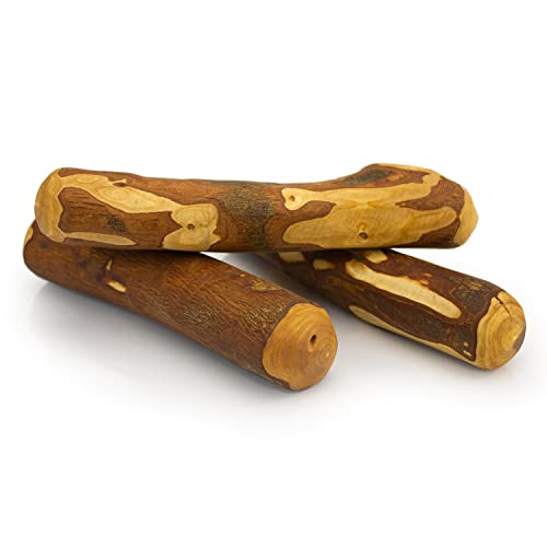 ARQUIVET Madera de Olivo - Mordedor para Perros L (221-450 gr/21-26 cm) - Rama de Madera bañada en Aceite de Oliva - Procedente de la poda necesaria - Juguete de Origen Natural