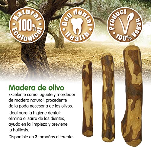 ARQUIVET Madera de Olivo - Mordedor para Perros L (221-450 gr/21-26 cm) - Rama de Madera bañada en Aceite de Oliva - Procedente de la poda necesaria - Juguete de Origen Natural