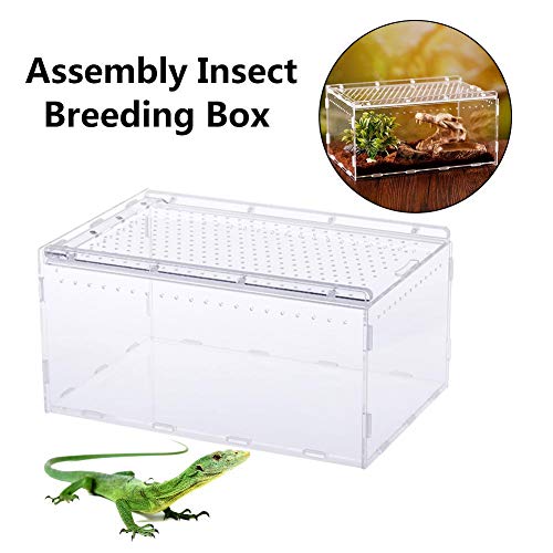 arthomer Caja de Reptiles Transparente Acrílico Tanques de cría de Reptiles Terrario para Rana Serpiente Lagarto - 15X20X30cm