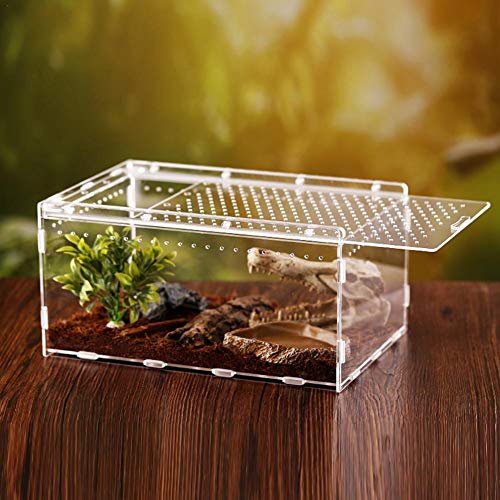 arthomer Caja de Reptiles Transparente Acrílico Tanques de cría de Reptiles Terrario para Rana Serpiente Lagarto - 15X20X30cm