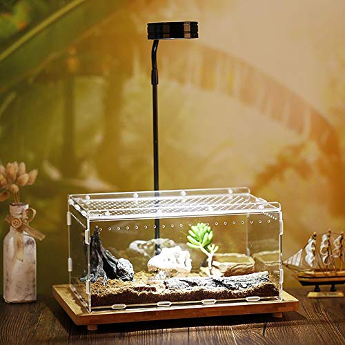 arthomer Caja de Reptiles Transparente Acrílico Tanques de cría de Reptiles Terrario para Rana Serpiente Lagarto - 15X20X30cm