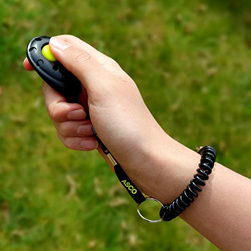 ASCO Clicker prémium Pulsera para el Brazo para Entrenamiento, clicker Profesional para Perros Gatos Caballos, adiestramiento de Perros con clicker, Negro AC01FS