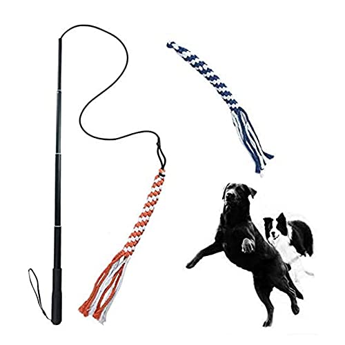 ASOCEA Perro extensible Teaser Varita Pet Flirt Stick Pole Puppy Chasing Tail Juguete interactivo para perros pequeños medianos grandes entrenamiento juego ejercicio