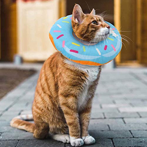 Athemeet Cono Animal DoméStico, Collar De RecuperacióN del Gato del Perro Elizabeth CíRculo Suave Ajustable para La CicatrizacióN De Heridas para Cachorros, Perros PequeñOs Y Gatos Azules XS