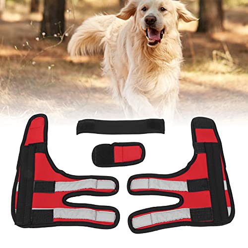 Atyhao Tirantes para Patas Delanteras para Perros, Raya Reflectante Protector para Patas Delanteras para Perros para Lesiones De Ligamentos Esguinces por Pérdida De Estabilidad(#2, L)