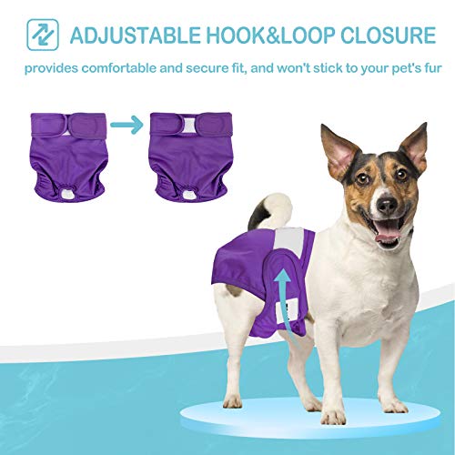 Avont 3 Packs - Pañales Lavables para Perras, Reutizables y Duraderos para Perros Hembra, Female Dog Diapers Altamente Absorbentes -XS, 6"-8.5" Cintura, Morado/Azul/Rosa