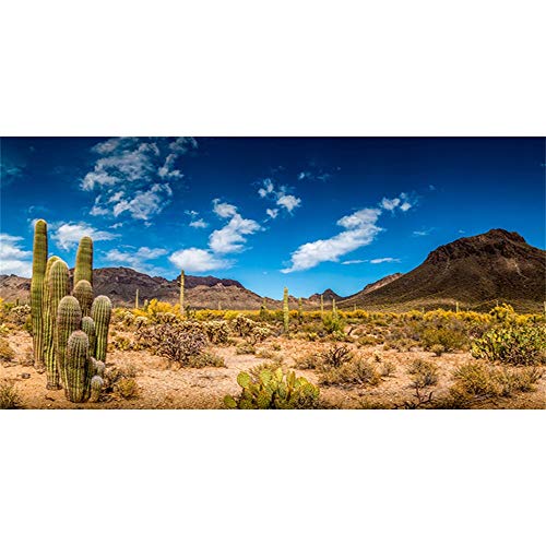 AWERT Fondo de vinilo duradero de 120 x 50 cm para hábitat de reptiles azul cielo oasis cactus desierto terrario fondo (no adhesivo)