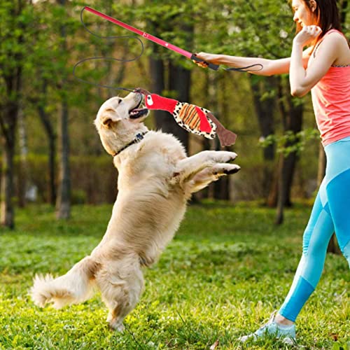 B/A Barra de coqueteo para Perros, Varita Extensible para Perros pequeños y medianos, Juguetes Divertidos interactivos al Aire Libre con Cuerda de Nailon elástica para Ejercicios de Entrenamiento