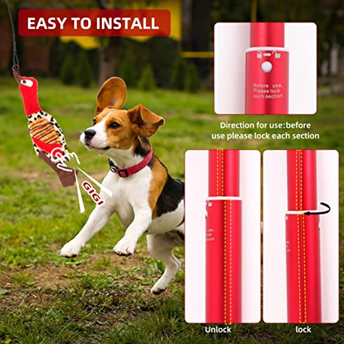 B/A Barra de coqueteo para Perros, Varita Extensible para Perros pequeños y medianos, Juguetes Divertidos interactivos al Aire Libre con Cuerda de Nailon elástica para Ejercicios de Entrenamiento