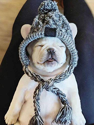 Bagalqio Swide Nuevo Gorro de Punto para Perros con pompón,Gorro a Prueba de Viento, Gorro de Bola hinchada para Perros, con Trenza Larga, Gorro cálido para Mascotas, para Gorros de Bulldog Robust