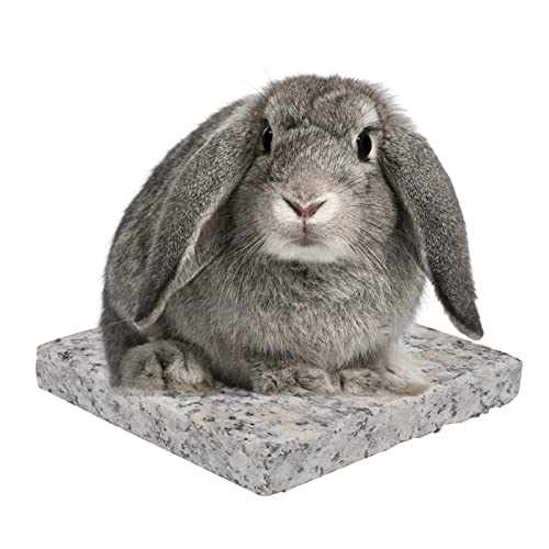 Balacoo 2 Piezas Almohadilla de Enfriamiento de Conejo Piedra de Mármol Hámster Alfombra de Enfriamiento para Mascotas Placa Fría Cama de Hielo Plataforma Enfriadora para Conejito