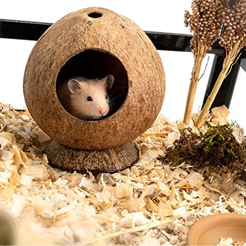 Balacoo Hutster Hamster Casa Cama Cueva Pet PEQUEÑA Caja PEQUEÑO Juguete Hábitat Pájaro Pájaro Juguete para Gerbils Ratones Ratas Conejo Jugar Decoración de Cría Marrón