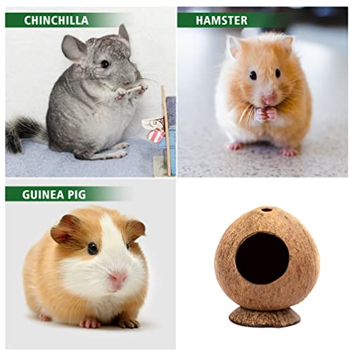 Balacoo Hutster Hamster Casa Cama Cueva Pet PEQUEÑA Caja PEQUEÑO Juguete Hábitat Pájaro Pájaro Juguete para Gerbils Ratones Ratas Conejo Jugar Decoración de Cría Marrón