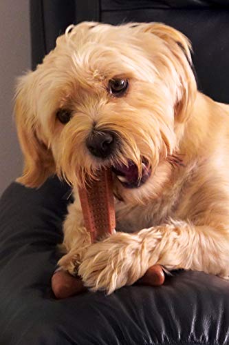 Bamboodles T-Bone Dog Masticar para el más aún el más agresivo de los masticadores PEQUEÑO POLLO