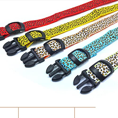 Bblythe Collar de seguridad para perros con botón integrado en la batería de 5 colores con luz LED para perros y gatos pequeños y medianos