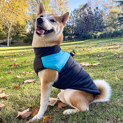 BCASE, Impermeable para Perro, Ropa para Mascotas, a Prueba de Agua y Nieve, Ropa de Invierno, Perros Grandes, Color Azul. Talla 3XL 4XL 5XL 6XL 7XL