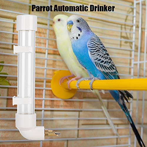 Bebedero para Loros, Bebedero Automático para Pájaros, Alimentador Automático para Periquitos, Canarios, Pájaros del Amor, con 2 Hebillas para Beber Pájaros(Metro)