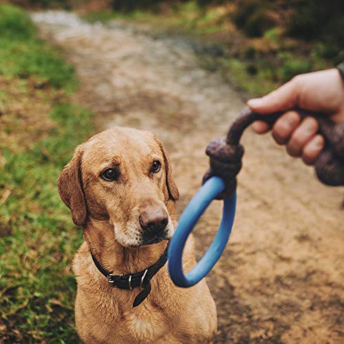 Beco Aro de Cuerda para Mascotas – Aro de Goma Natural y Cuerda de algodón para Perros – L – Azul