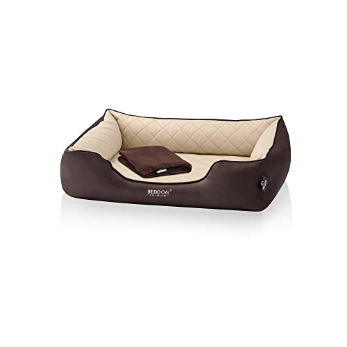 BedDog Premium Cama ortopédica para Perro Buffy, Espuma con Memoria, sofá para Perro, Felpa Regalo - Melange (Beige/Marron)