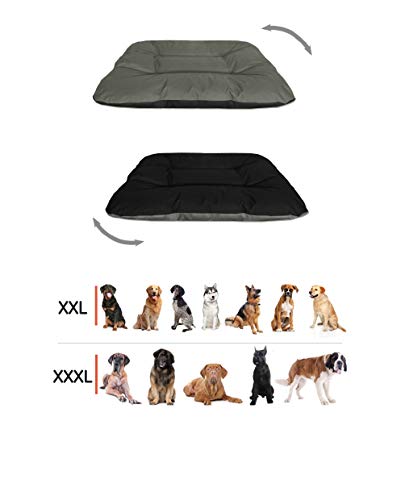 BedDog® Rex 2en1 Rosa/Negro XXL Aprox. 120x100x14cm colchón para Perro, 9 Colores, Cama, sofá, Cesta para Perro