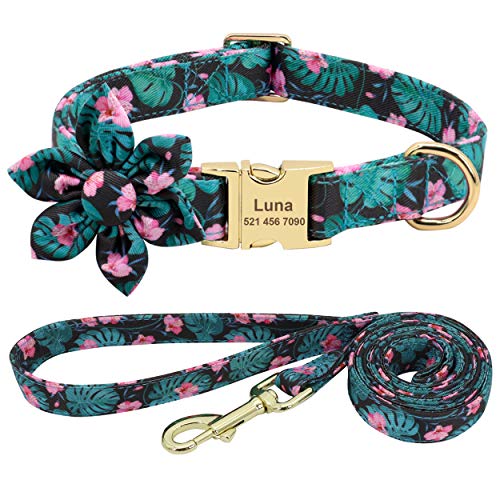 Beirui Collar de perro y plomo personalizado para perros femeninos, diseño floral grabado collares para mascotas con hebilla dorada personalizada (patrón verde, S)