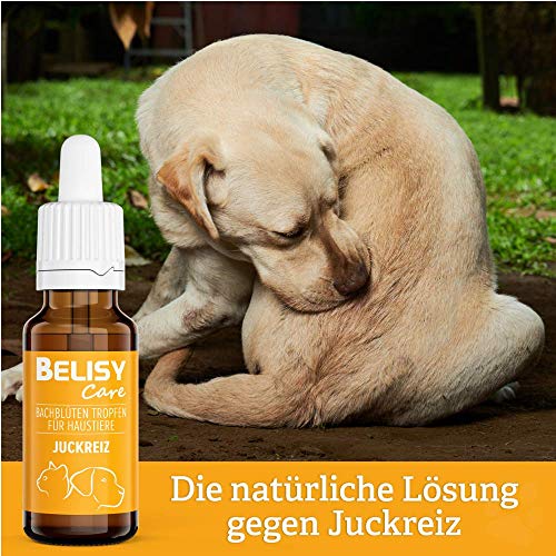 BELISY Picor de flores de Bach, gotas para perros y gatos, contra el picor, gotas de emergencia para mascotas, cuidado del pelaje y cuidado de la piel, mezcla original según Dr. Bach, 20 ml