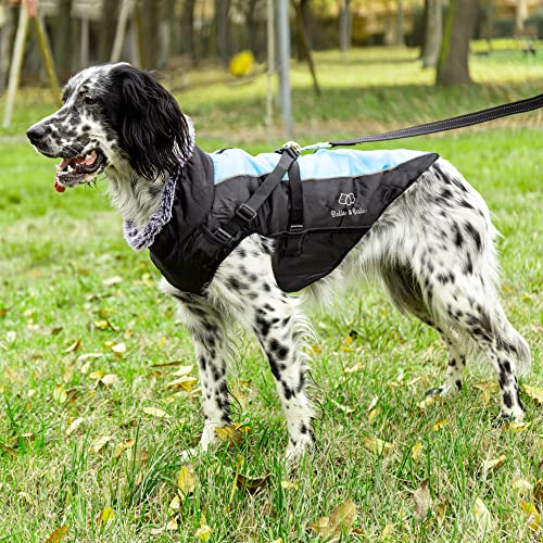 Bella & Balu Chaqueta de Invierno para Perros con Correa - M Gris | Ropa para Perros pequeños contra el frío y el Viento en Invierno - Resistente al Agua y al Viento, Correa Ajustable