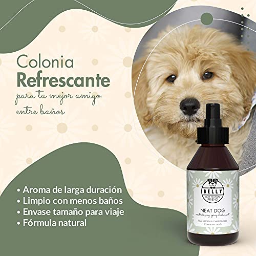 Belly Colonia para Perros, Fragancia Manzanilla - Spray Colonia Perros Cachorros y Adultos - Perfume Perro Fresco e Hidratante - Desodorante Perro, Efecto Duradero - Colonia Mascotas Vegana, 250 ml