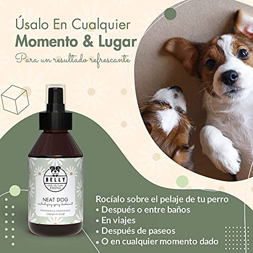 Belly Colonia para Perros, Fragancia Manzanilla - Spray Colonia Perros Cachorros y Adultos - Perfume Perro Fresco e Hidratante - Desodorante Perro, Efecto Duradero - Colonia Mascotas Vegana, 250 ml