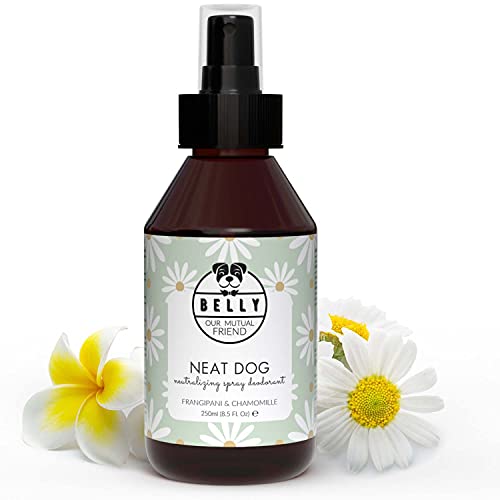 Belly Colonia para Perros, Fragancia Manzanilla - Spray Colonia Perros Cachorros y Adultos - Perfume Perro Fresco e Hidratante - Desodorante Perro, Efecto Duradero - Colonia Mascotas Vegana, 250 ml