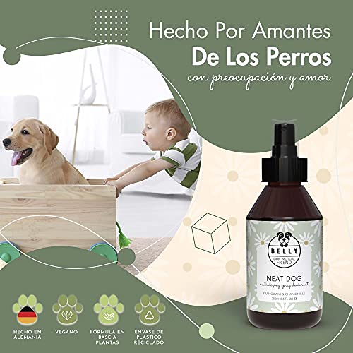 Belly Colonia para Perros, Fragancia Manzanilla - Spray Colonia Perros Cachorros y Adultos - Perfume Perro Fresco e Hidratante - Desodorante Perro, Efecto Duradero - Colonia Mascotas Vegana, 250 ml