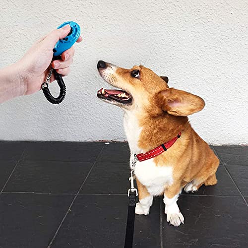 Bemend Clicker, Clicker para Adiestramiento Perro, Clicker para Perros, Clicker Adiestramiento Perro, para Entrenamiento de Mascotas, para Perros, Gatos, Pájaros, Caballos, 4 Colores