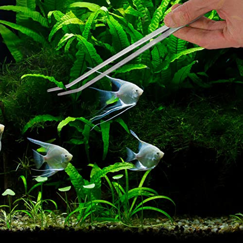 BESPORTBLE 1 Set Acuario Herramientas Kit Acuario Tijeras Pinzas Spátula Juego de Herramientas de Acero Inoxidable Herramienta de Planta Acuática para Acuario Accesorios de Limpieza de