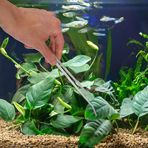 BESPORTBLE 1 Set Acuario Herramientas Kit Acuario Tijeras Pinzas Spátula Juego de Herramientas de Acero Inoxidable Herramienta de Planta Acuática para Acuario Accesorios de Limpieza de